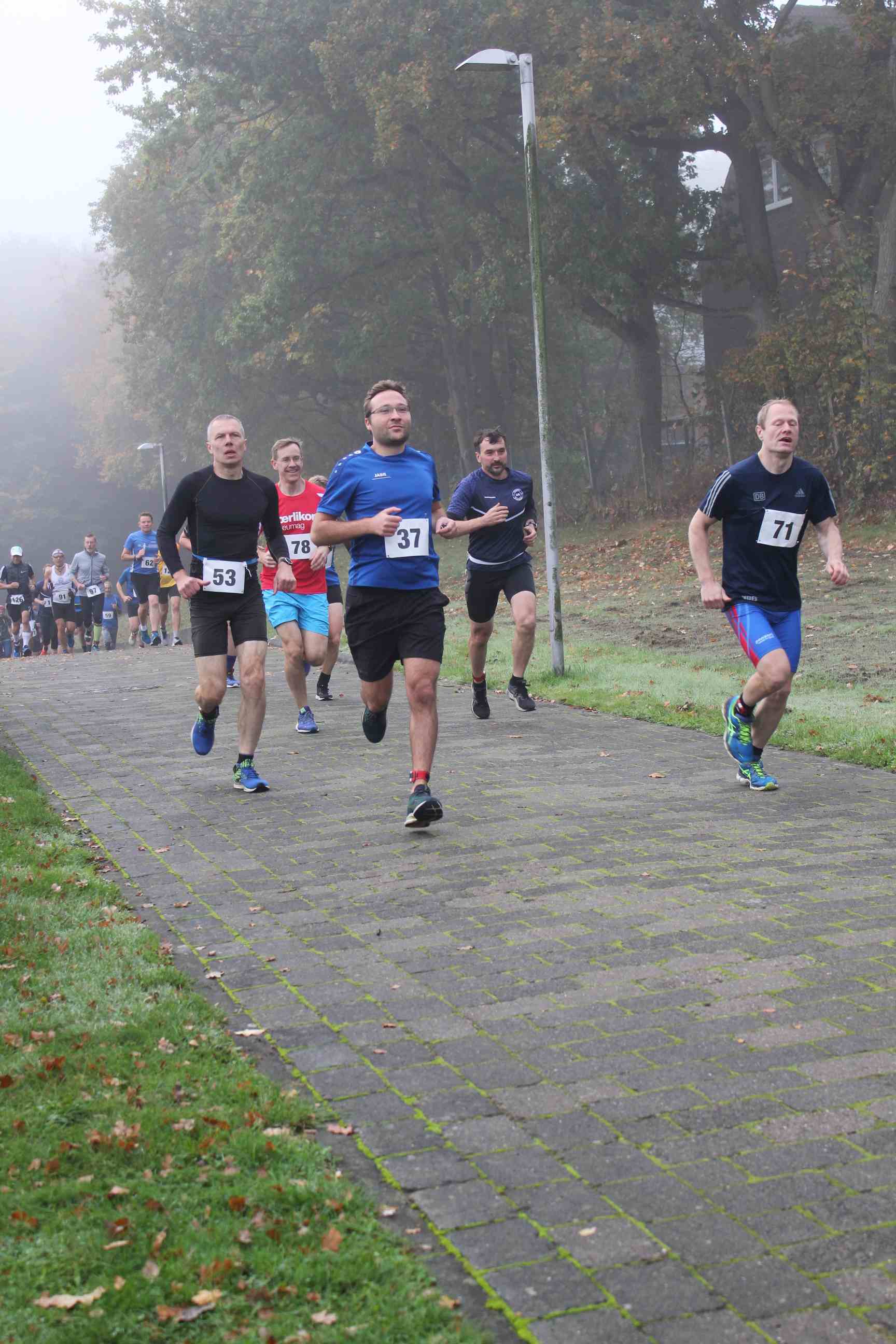 Hauptlauf-50