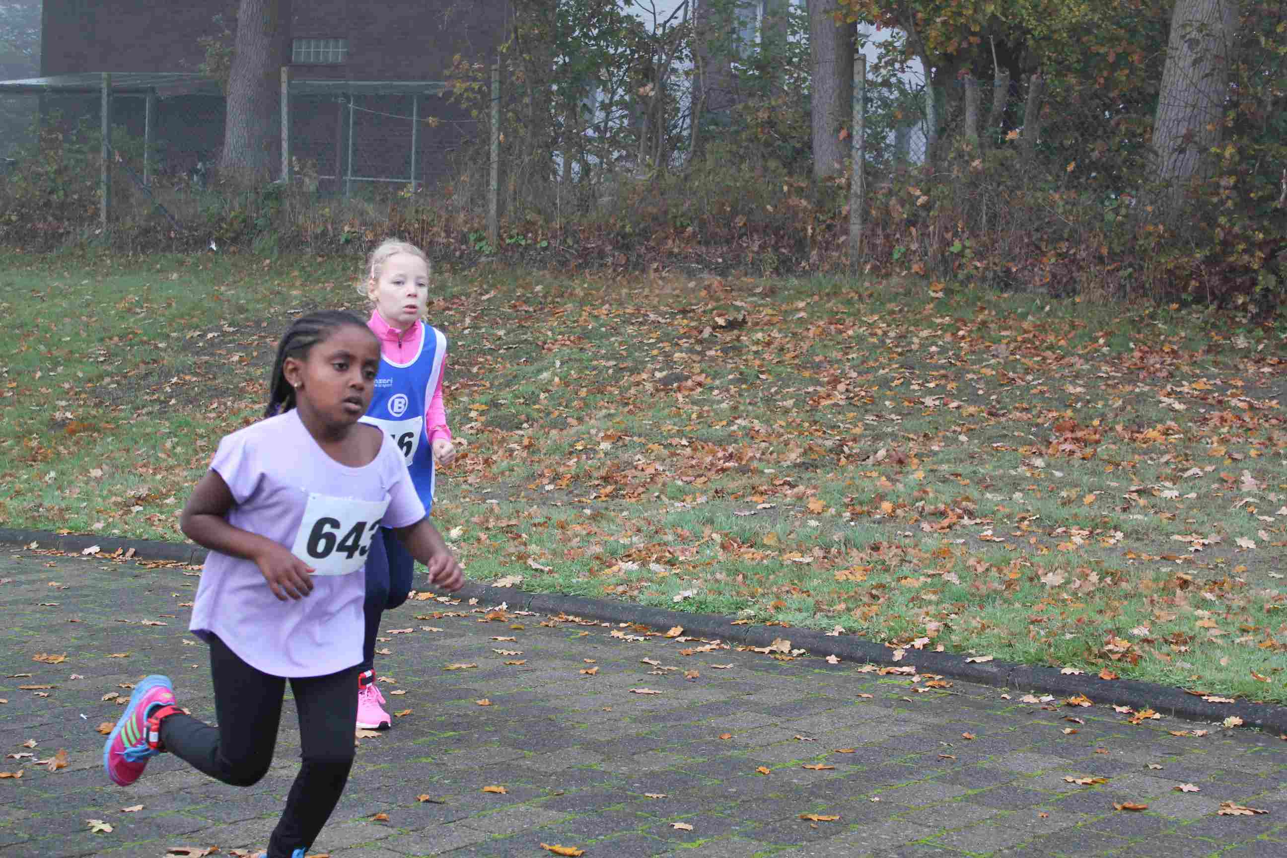 Zwergenlauf-36